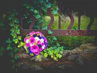 120